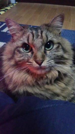 生き物ルーム第31