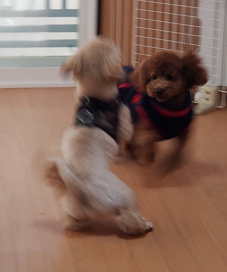 生き物ルーム第31