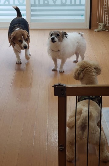 生き物ルーム第30