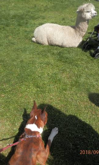 生き物ルーム第31