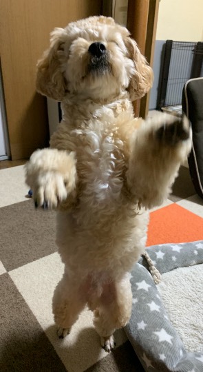 生き物ルーム第31