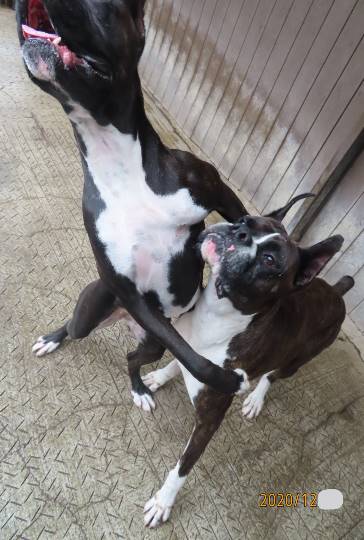 生き物ルーム第31