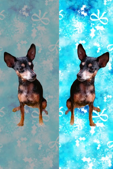 生き物ルーム第30