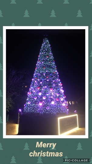 雑談クリスマス会 2020