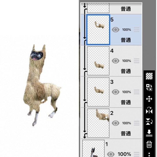 生き物ルーム第31