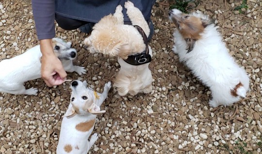 生き物ルーム第30