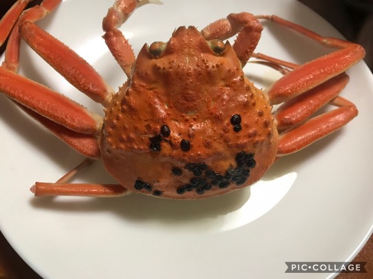 【スナックJINJIN】メリークリスマス&amp;ハッピーニューイヤー　おめでたいぞ8号店！