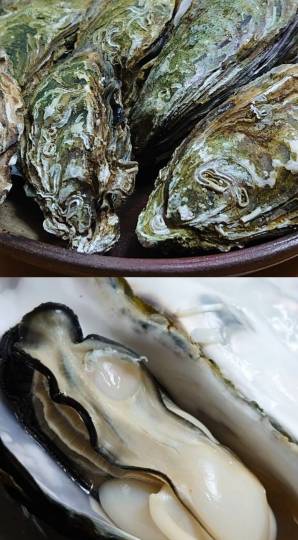 雑談クリスマス会  2020