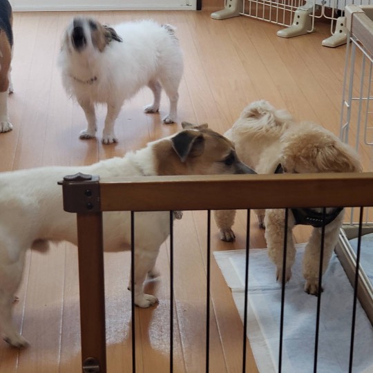 生き物ルーム第30