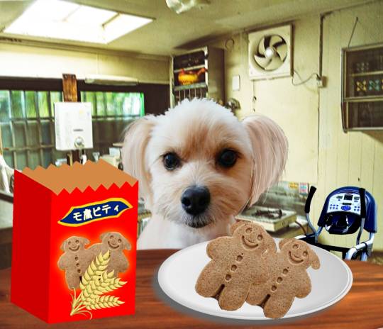 生き物ルーム第30