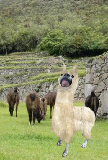 生き物ルーム第31