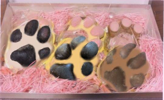 生き物ルーム第31