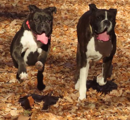 生き物ルーム第31