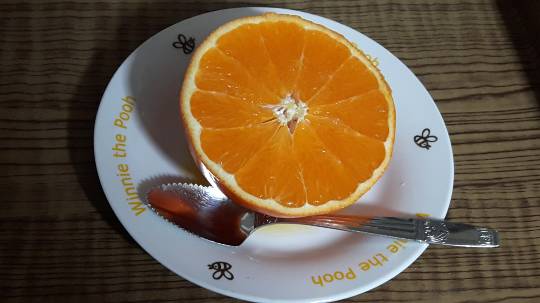 マスク同窓会詰所兼ニューフェイス歓迎所8