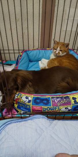 生き物ルーム第30