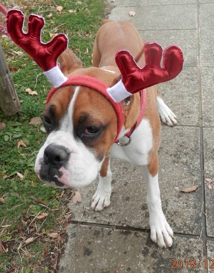 生き物ルーム第31