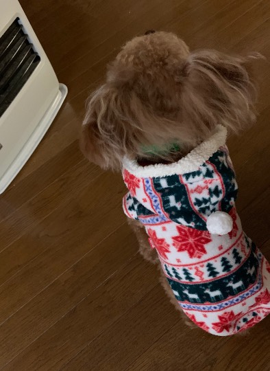 生き物ルーム第30