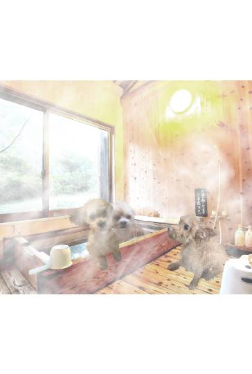 生き物のルーム第32