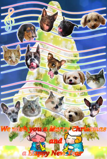 生き物ルーム第31