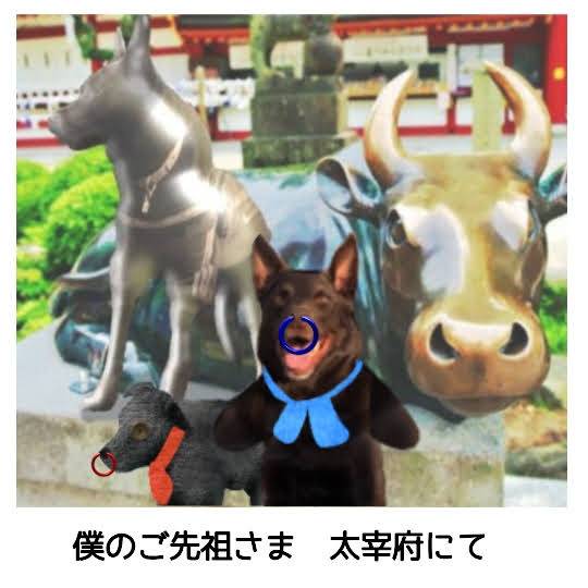 生き物ルーム第30