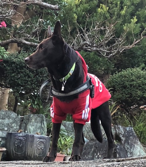 生き物ルーム第30