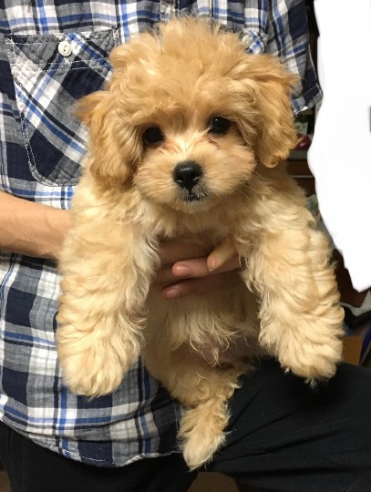 生き物ルーム第31