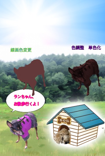 生き物ルーム第30