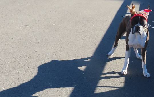 生き物ルーム第31