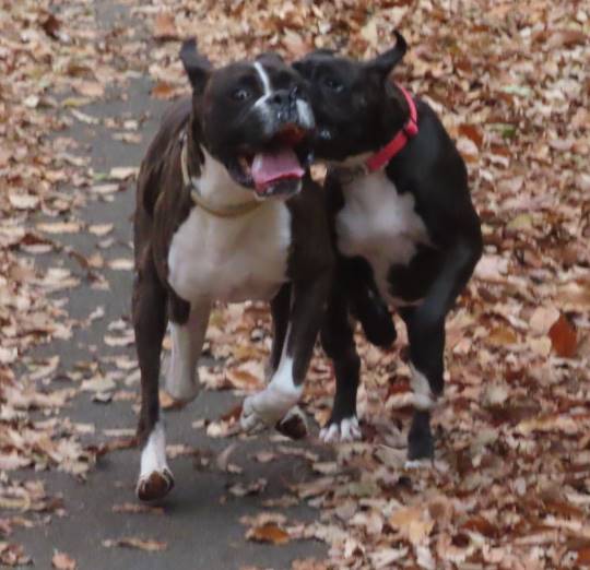 生き物ルーム第31