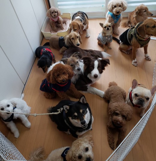 生き物ルーム第31