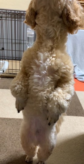 生き物ルーム第31