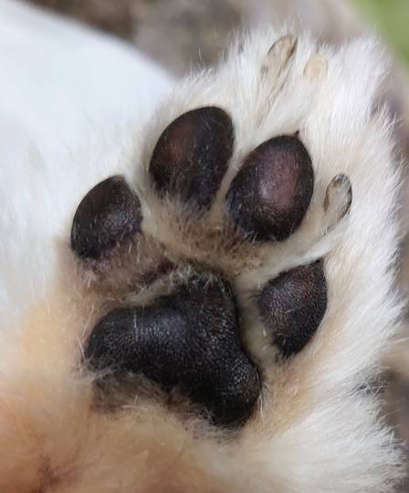 生き物ルーム第31