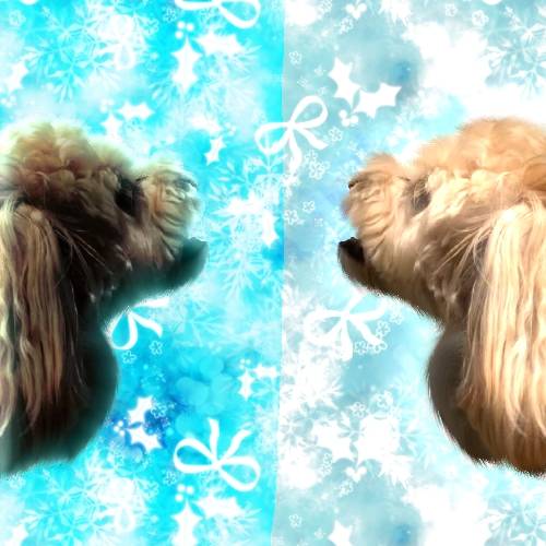 生き物ルーム第30