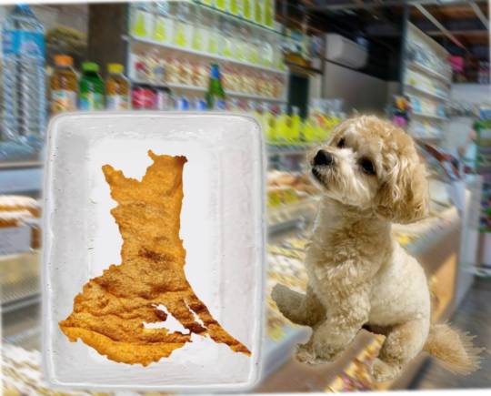 生き物ルーム第31