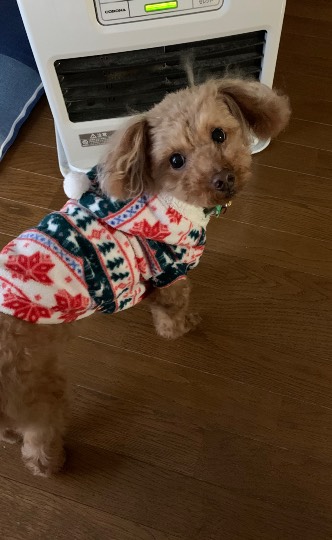 生き物ルーム第30