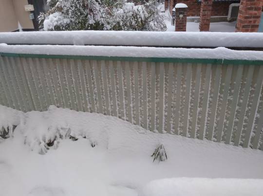 ★ドンキ♡♡ロピア 雑談 5★