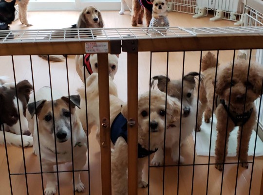 生き物ルーム第31