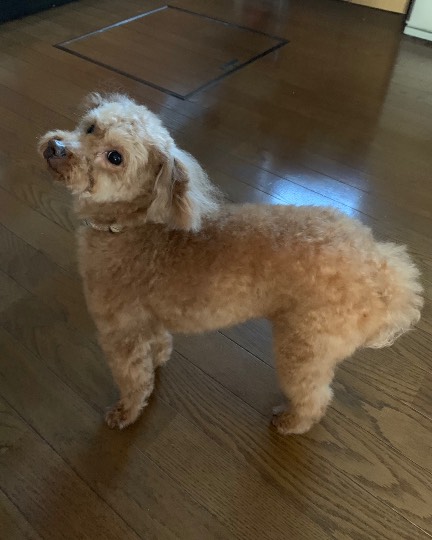 生き物のルーム第32