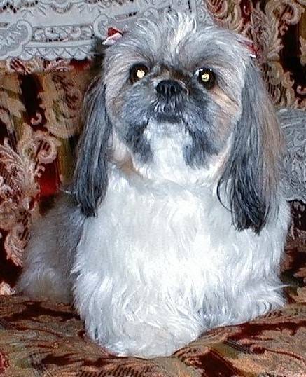 生き物ルーム第31