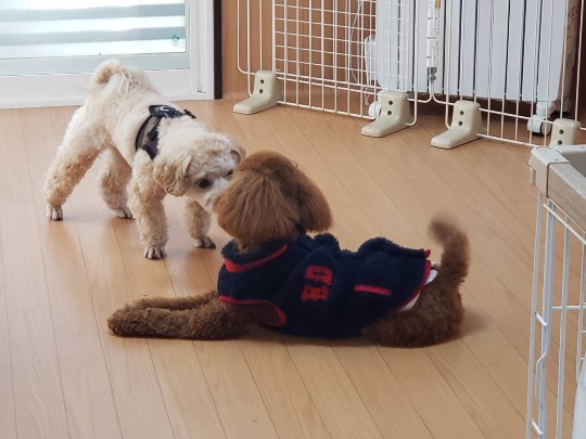 生き物ルーム第31