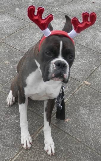 生き物ルーム第31