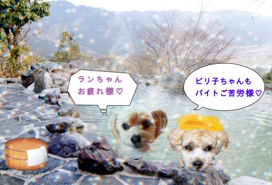 生き物のルーム第32