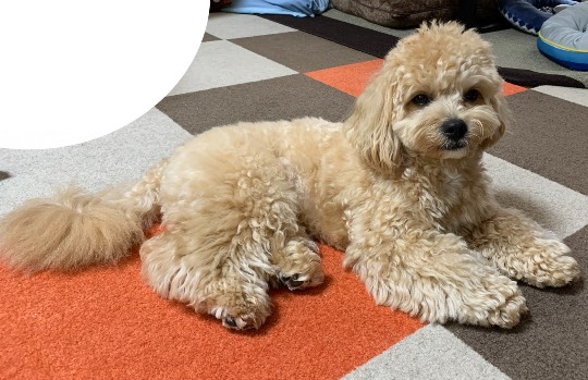 生き物ルーム第31