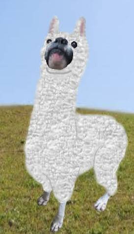 生き物ルーム第31