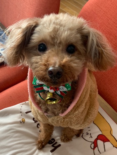 生き物ルーム第31