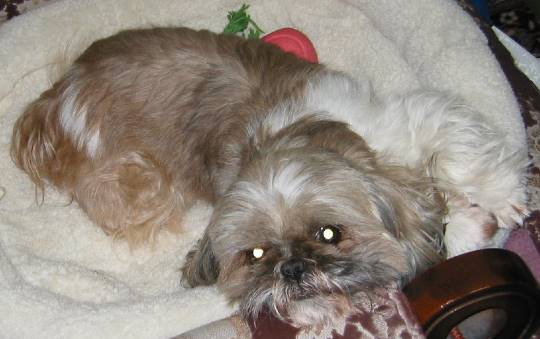 生き物ルーム第31