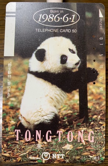 生き物ルーム第31