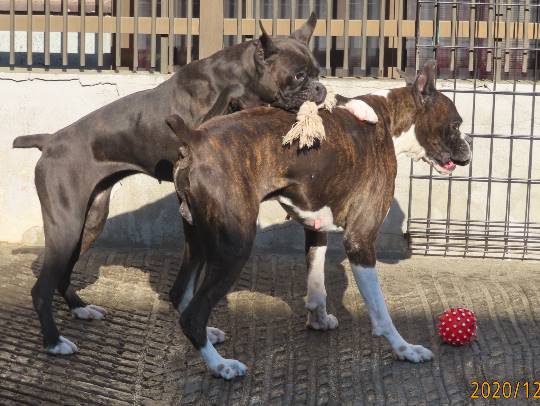 生き物のルーム第32