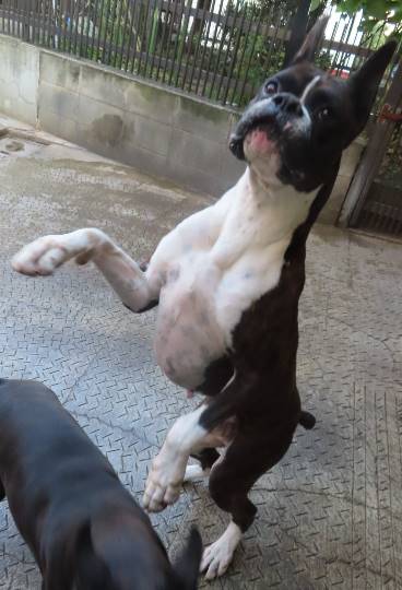 生き物ルーム第31