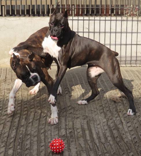 生き物ルーム第31